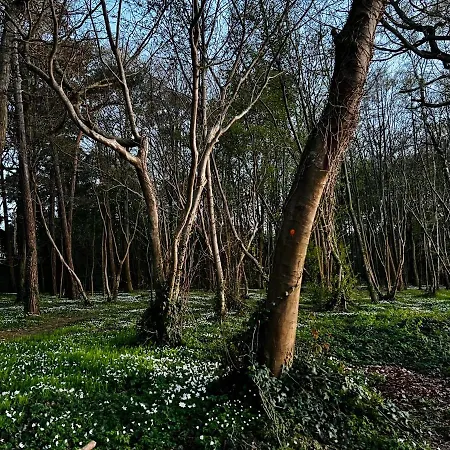 Villa Hampton Park Rozewie