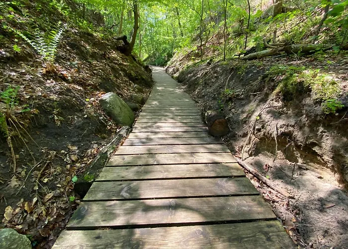 Вилла Hampton Park