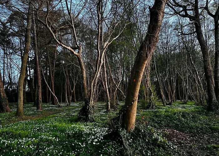 Вилла Hampton Park Rozewie